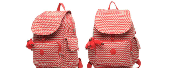 Bagage à main